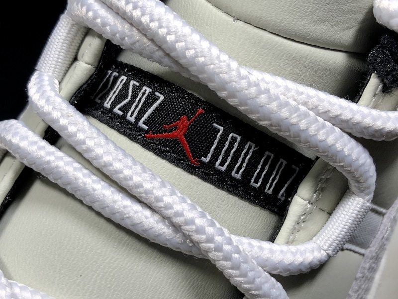 Air Jordan 11 Low SE Snakeskin(CD6846-002)